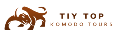 Komodo Tours